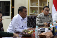Harga Ayam dan Telur di Tingkat Peternak Mulai Membaik, Kementan Terus Perkuat Stabilisasi