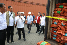 Bawang Bombai Ilegal Asal Belanda Gegerkan Pelabuhan, Mentan Minta Diusut Tuntas