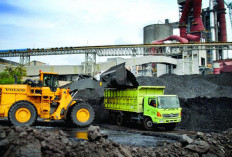 Harga Batubara Acuan Agustus 2026 Turun, Kementerian ESDM Tetapkan HBA Rp124,44 per Ton