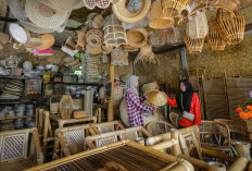 Ungkit Pertumbuhan UMKM dan Ekonomi Kerakyatan, BRI Berhasil Salurkan KUR Senilai Rp31,42 Triliun