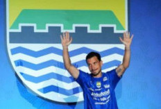 Persib Siap Hadapi Musim 2026/2027, Wagub Jabar: Insya Allah Juara Lagi!