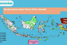 Indonesia Kejar Target Bebas Malaria 2030, Papua Masih Jadi Wilayah dengan Kasus Tertinggi