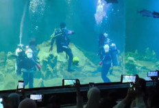 Aquarium Indonesia Pangandaran Hadirkan Atraksi Bertema Piala Dunia 2026 untuk Tarik Wisatawan