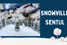 Tak Perlu ke Luar Negeri, Snowville Sentul Hadirkan Wisata Salju Asli Pertama di Indonesia