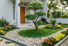 Taman Depan Rumah Ingin Lebih Hidup? Coba Pakai Ide Sederhana Ini, Bikin Hunian Terlihat Elegan!