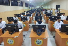 Kapan Pendaftaran CPNS 2026? Ini Sinyal dan Persiapan Pemerintah