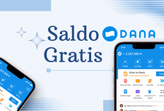 Mudah Banget! Saldo DANA Rp336.000 Gratis dari Misi Harian Aplikasi Penghasil Uang