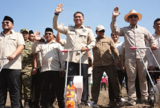 Wamentan Sudaryono Gerak Cepat Tindak Keluhan Petani dan Peternak, Bantuan Drone hingga Traktor Langsung Diset