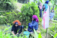 Krisis Air Bersih Kembali Melanda Cidolog Tasikmalaya, Warga Antre Air Keruh Setiap Musim Kemarau