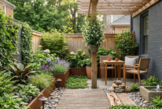 Lahan Belakang Sempit Jangan Dibiarkan Kosong, Begini Cara Mudah Sulap Jadi Taman Estetik dan Nyaman