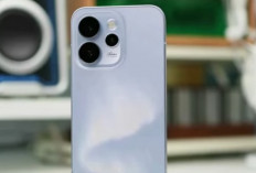 5 Rekomendasi HP Terlaris 2026 yang Laris Manis di Awal Tahun, Spesifikasi Gahar Harga Bershabat