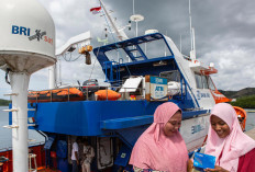 Miliki Satelit Sendiri, Layanan Perbankan BRI Mampu Jangkau Plosok Negeri dan Wilayah 3T