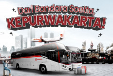 PJ Mania Jangan Salah Naik Bus! Begini Cara Mudah dari Bandara Soetta Menuju Purwakarta via Rest Area KM 39