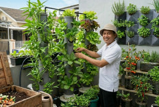 Food Garden di Rumah, Cara Mudah Berkebun di Lahan Sempit yang Bikin Hidup Lebih Sehat dan Hemat