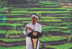 Dedi Mulyadi Siapkan Evaluasi Angkot Tua di Jabar, Sopir Berpeluang Jadi Pemilik Armada