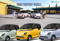 Mobil Listrik Rp200 Jutaan Masih Bisa Dibeli 2026! Ini Daftar Merek yang Benar-Benar Dapat Subsidi Pemerintah