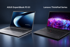 Asus ExpertBook P3 G1 vs Lenovo ThinkPad Series, Pilih Laptop Bisnis Mana?