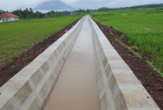 Rekrutmen TPM P3-TGAI 2026 Dibuka, Ini Syarat, Dokumen yang Dibutuhkan dan Cara Daftarnya