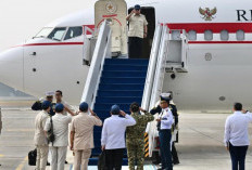 Presiden Prabowo ke Pekanbaru, Penanganan Karhutla Riau Jadi Perhatian Utama