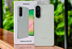 3 HP untuk Editor dengan RAM Besar, Xiaomi 15T hingga Samsung Galaxy A56 5G Bikin Editing Makin Lancar