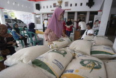 Pemerintah Resmi Gulirkan Bansos Beras dan Minyak Goreng untuk 35 Juta Keluarga Jelang Lebaran 2026