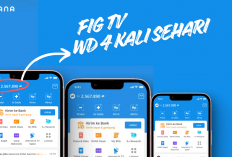 Fig TV Aplikasi Penghasil Uang Tercepat 2026, Nonton Drama Pendek Dibayar Empat Kali Sehari