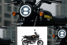 Motor Retro Honda Gorilla 125 Terbaru Bikin Penasaran, Tampangnya Gagah Siap Diajak Jelajah