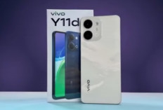 Vivo Y11D Hadir dengan Layar 120Hz dan Baterai 6.500 mAh, Layakkah Jadi Pilihan di Kelas HP Terjangkau?