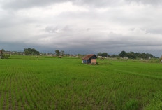 Kementerian PU Buka Rekrutmen Tenaga Pendamping Masyarakat untuk P3TGAI di 12.000 Lokasi