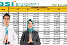 Cara Mudah Agar Pengajuan KUR BSI 2025 Cepat Disetujui, UMKM Wajib Tahu Triknya